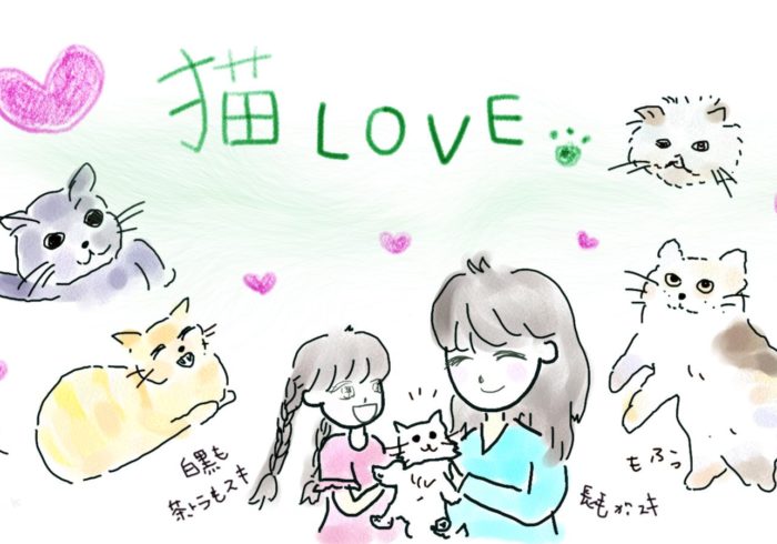 猫好きにはたまらない!! 子猫が元気に活躍する『こねこのチー』にほっこり【テレビはおともだち】